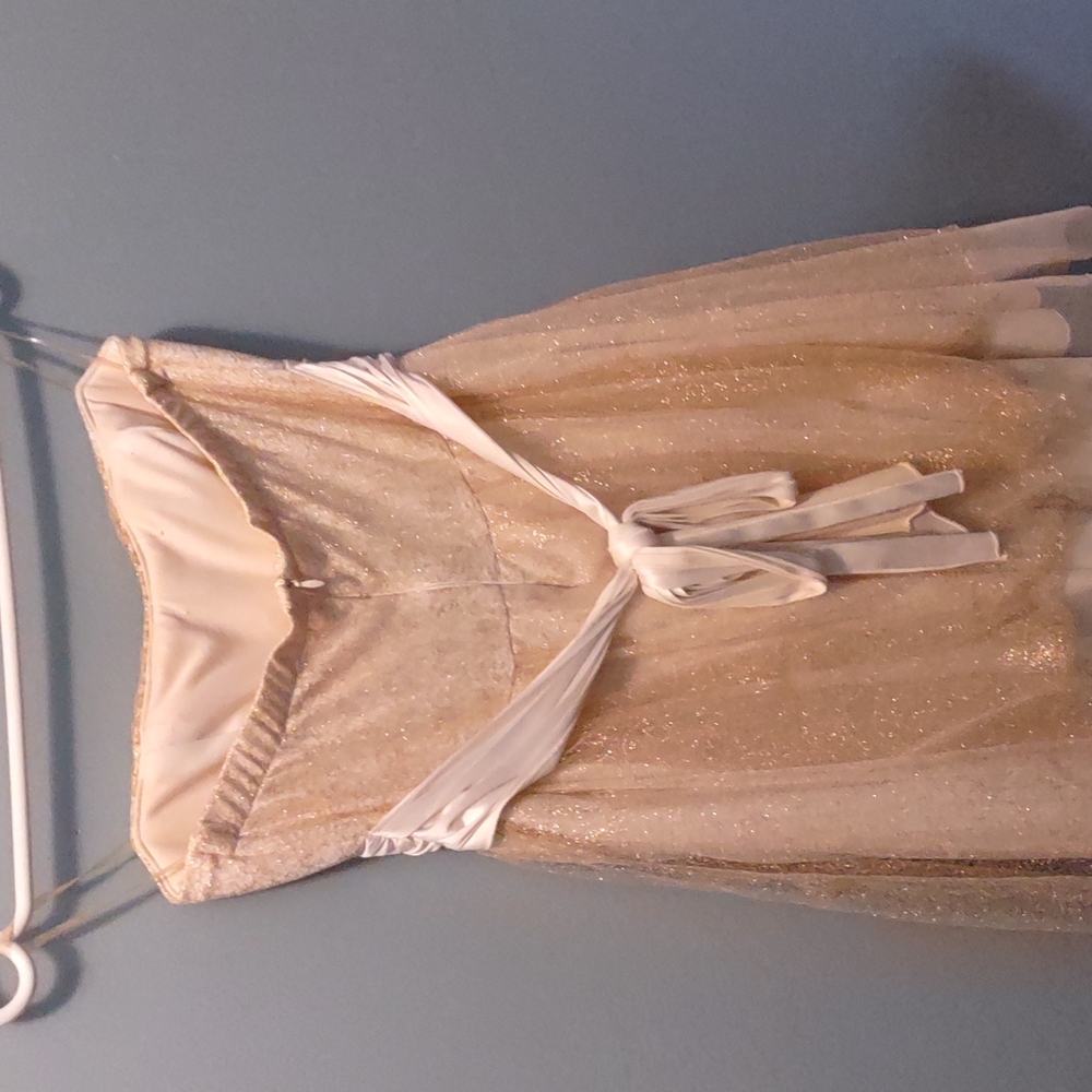 Prom Dress - Picture 2 of 3